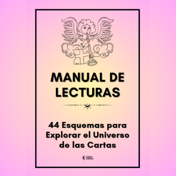 MANUAL ESQUEMAS DE LECTURAS
